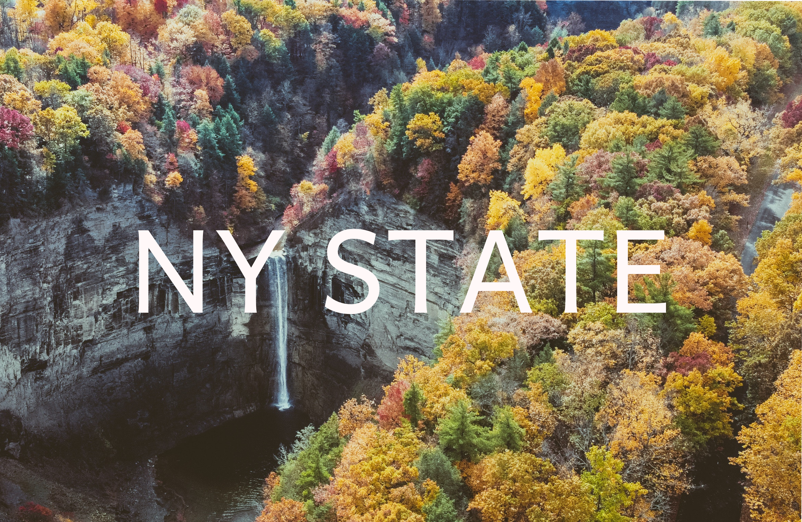 ny state listings